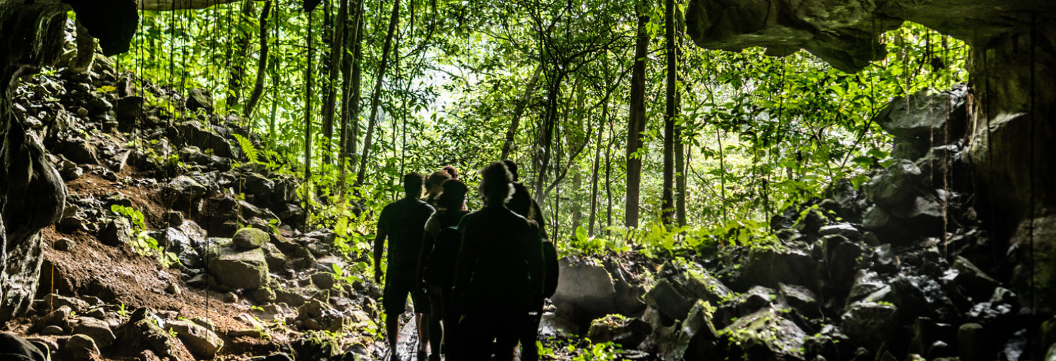 Lang Cave entrance, Mulu National Park 