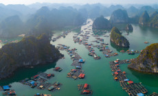 Lan Ha Bay Fishing Village