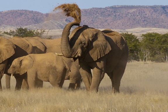 Introducing Africa: Namibia