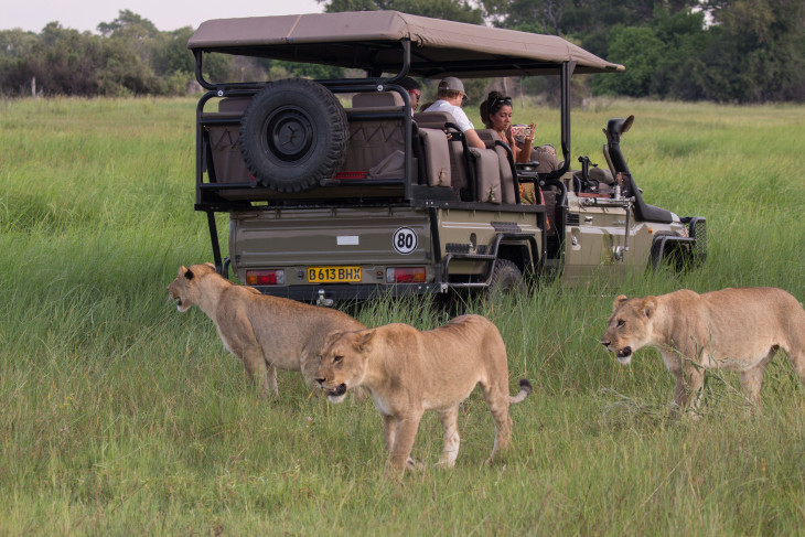 7 Reasons to Travel to Botswana with Llama Travel