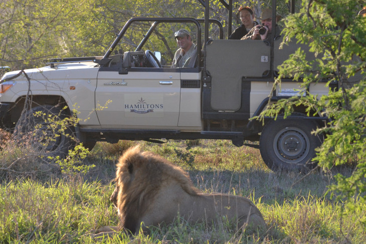 Which is the Best Lodge in South Africa&#039;s Kruger?