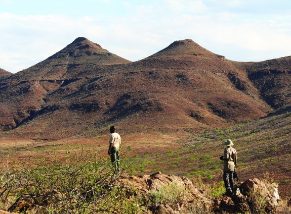 Rhino Tracking in Damaraland, Namibia