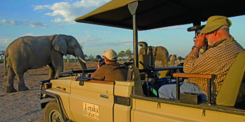 Choosing The Right Safari For You