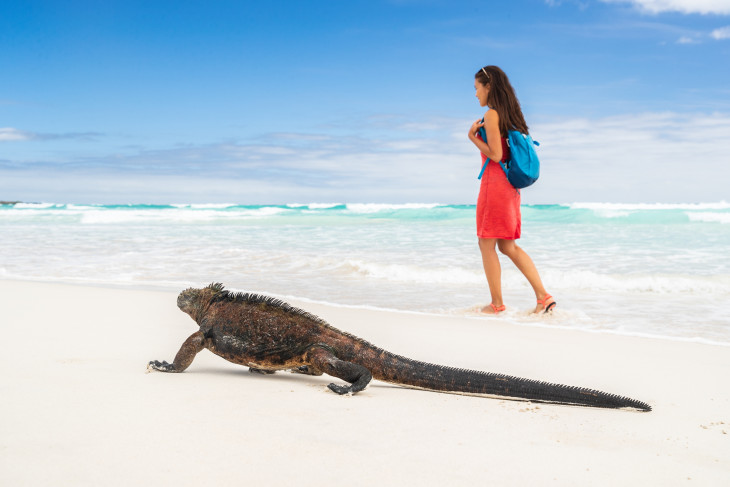 3 Holiday Reads for Ecuador and the Galapagos