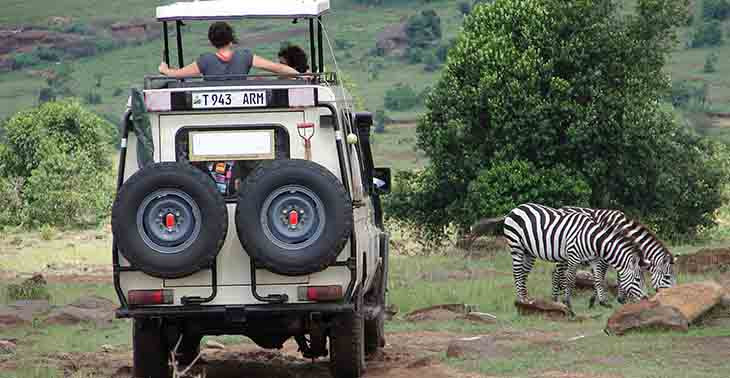 Have a private safari vehicle for no extra cost