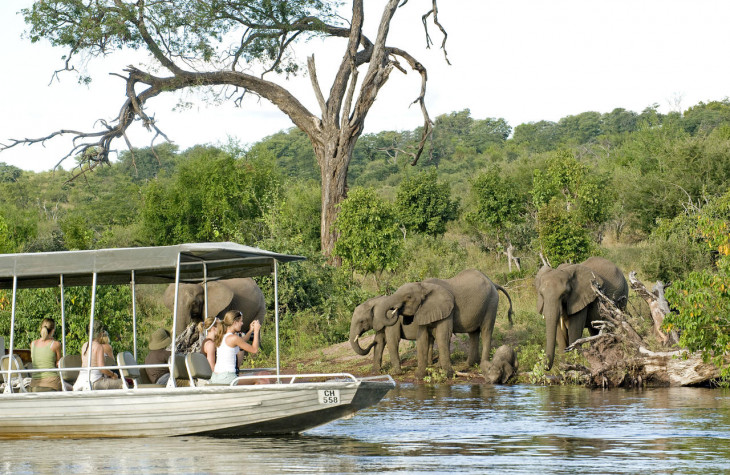 Where to spot the Big Five