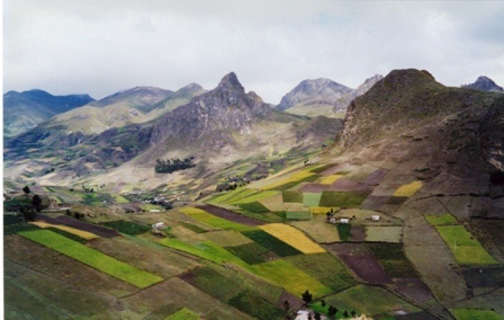 A patchwork landscape in the Ecuadorian Highlands.