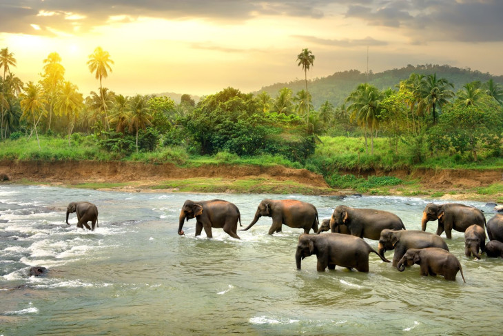 8 Reasons to visit Sri Lanka