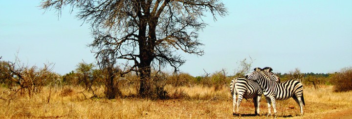 How Our Holidays Work