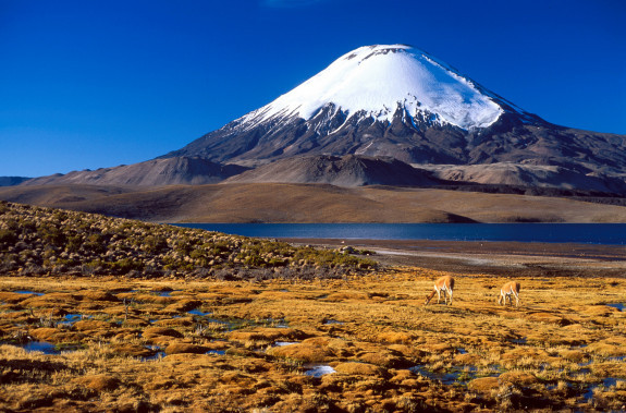 Exploring Chile’s Atacama Desert