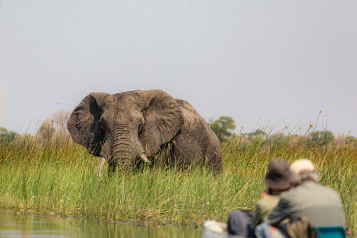 A first-timer&rsquo;s guide to safari