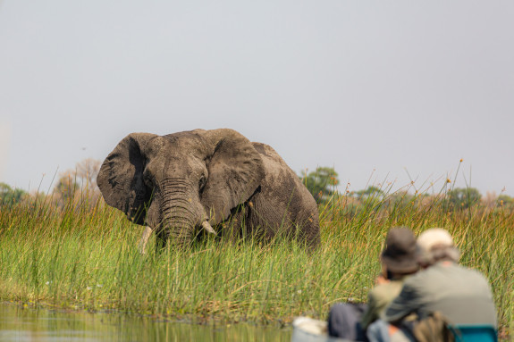 A first-timer&rsquo;s guide to safari