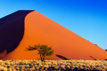 Paige's Journey: Namibia