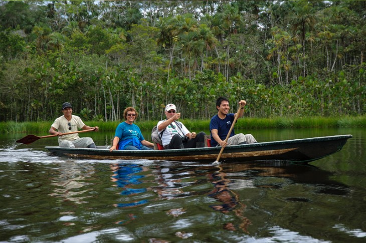 Amazon Rainforest, Ecuador