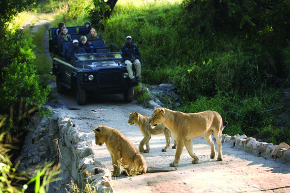 Top 5 Wildlife Experiences In Southern Africa
