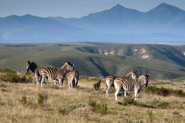 Why Gondwana Was The Highlight Of My South Africa Holiday