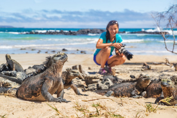 7 Reasons to Travel to Galapagos & Ecuador with Llama Travel