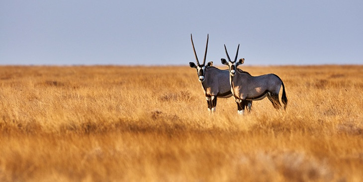 Namibia FAQs