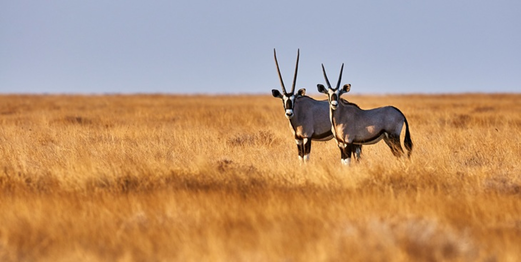 Namibia FAQs