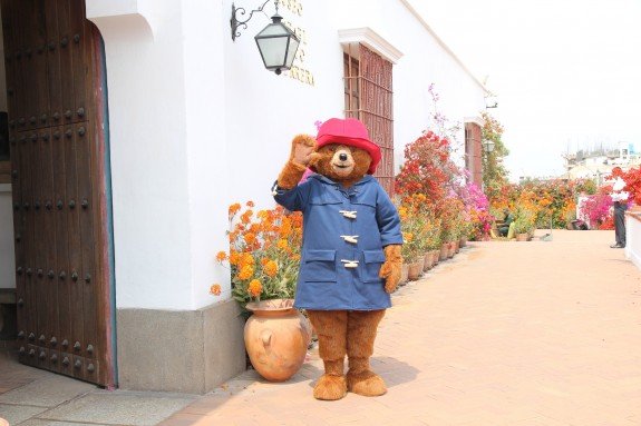 Paddington Bear visiting Museo Larco in Lima, Peru.