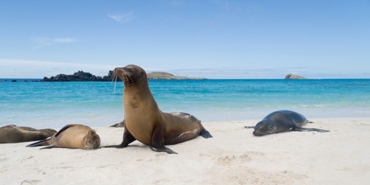 Galapagos Islands FAQs