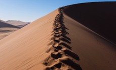 Dune climb, Sossusvlei, Namibia